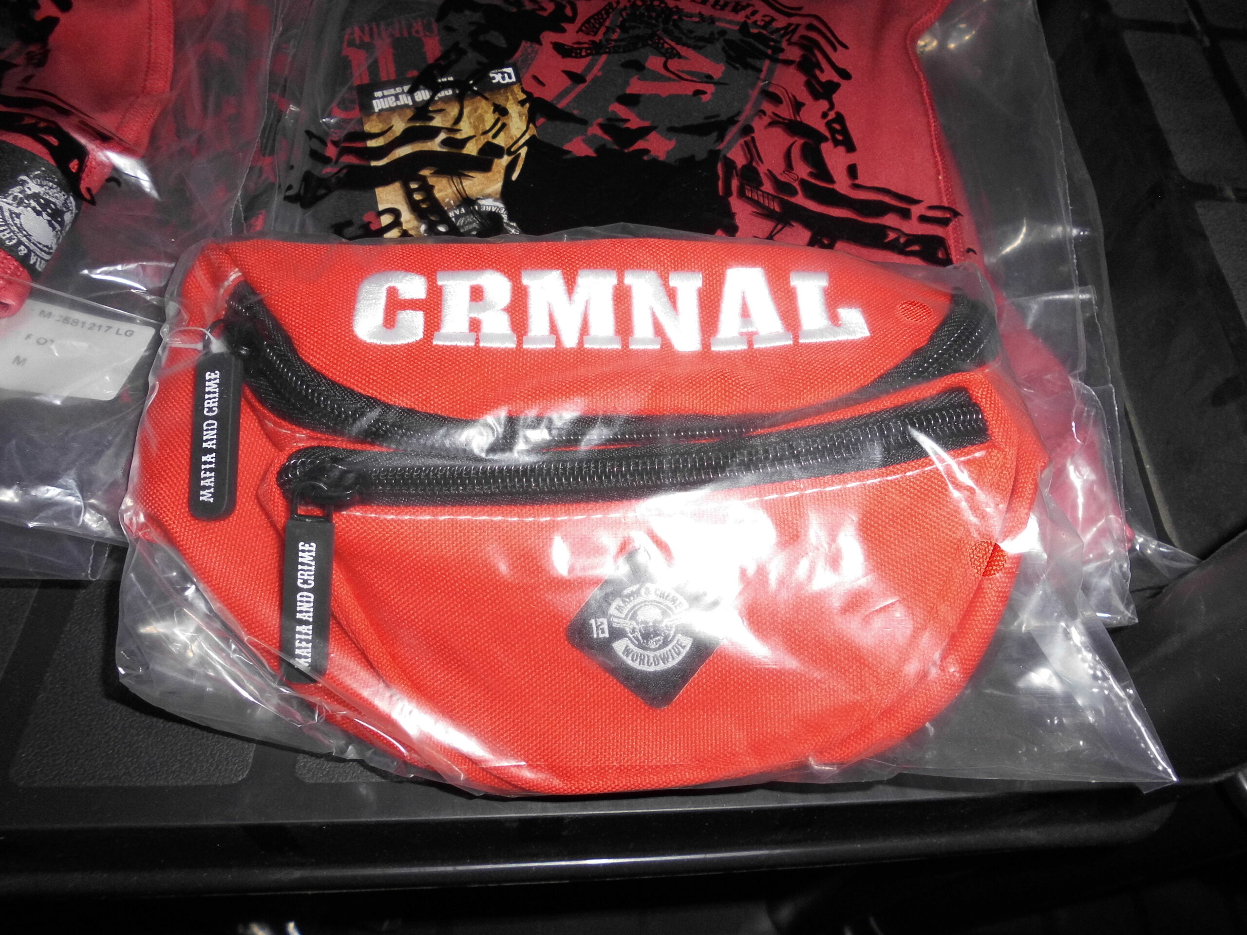 DSCI0033
